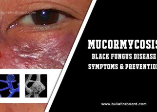 black fungus disease