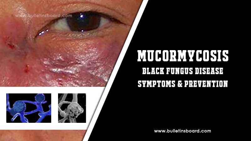 black fungus disease